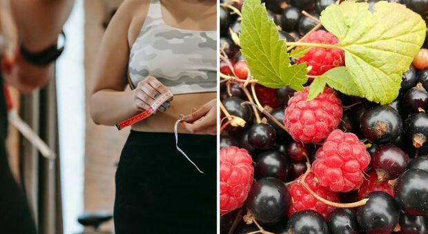 Si può perdere peso mangiando il frutto che "imita" gli effetti dell'allenamento, lo dice la scienza. Ecco di cosa si tratta