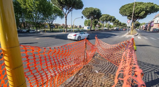 Roma, cadono alberi sulla Colombo: chiusa la corsia laterale
