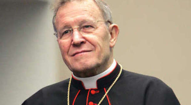 Intervista al cardinale Kasper: «Vogliono la guerra al Sinodo, il Papa è il bersaglio»