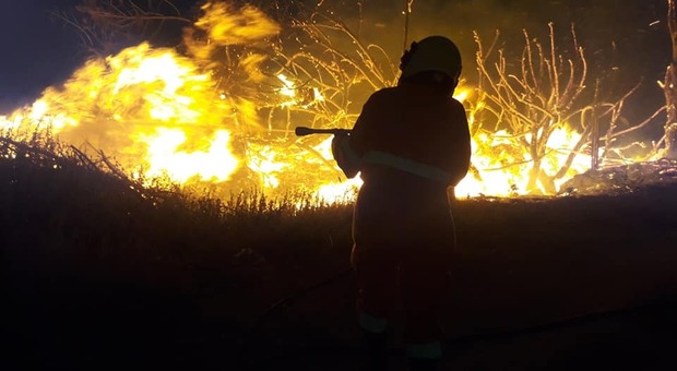 Tarquinia sotto scacco dagli incendi, distrutti dalle fiamme ettari di vegetazione