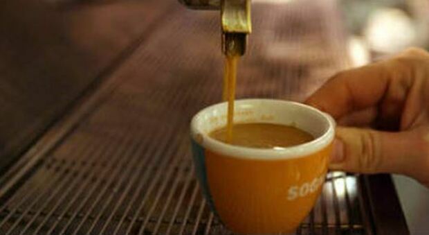 Caffè, scoperta azione benefica: protegge contro il melanoma