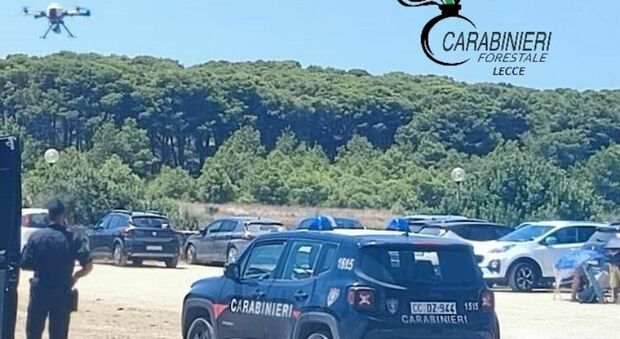 Prevenzione anti-incendi, campi puliti per evitare roghi: a breve il via ai controlli dei carabinieri forestali
