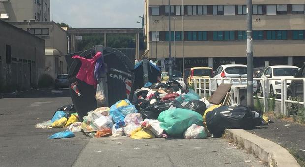Roma, l'estate dei miasmi e e dei rifiuti. I cittadini: «Denunciamo l'Ama»