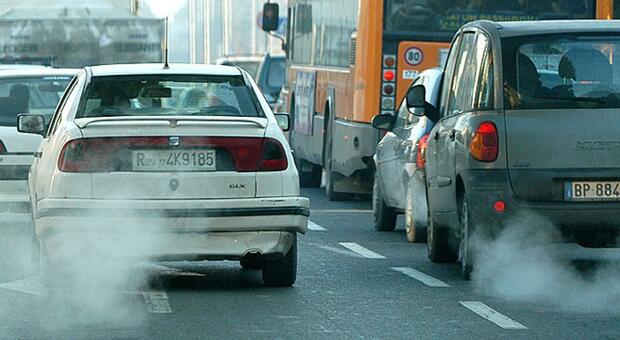 Auto, nella Tuscia il 40% sono vecchie e inquinanti. Zucchi: "La Panda l'auto più venduta"