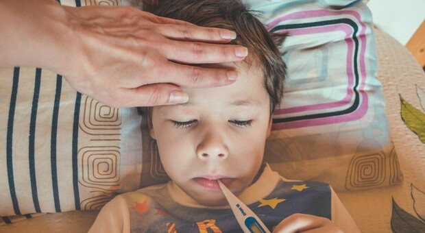 Virus respiratorio sinciziale, l'allarme del Bambin Gesù: «Preoccupa la bronchiolite, picco anticipato»