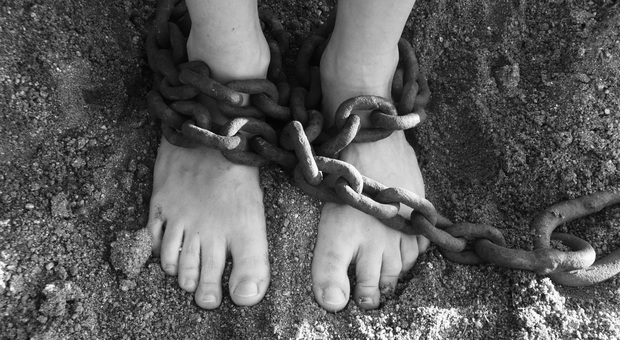 Ragazza di 17 anni segregata e violentata per due anni in un maneggio a Cesano. Nessuno aveva notato nulla, salvata da un passante