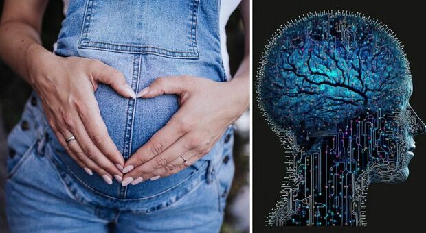 La gravidanza causa cambiamenti permanenti nel cervello: i neuroni vengono riscritti, secondo la ricerca