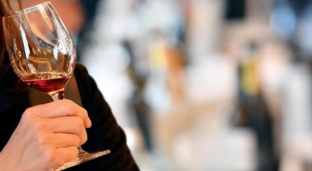 Aziende del vino, crescita turbo: + 52% negli ultimi dieci anni