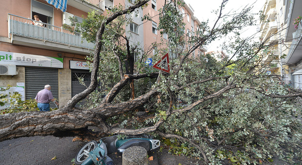 Nubifragi e tromba d'aria a Salerno: devastate case, vie e piazze