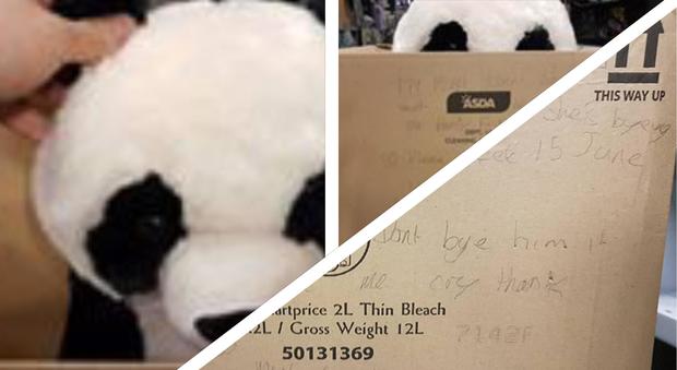 Il tenero messaggio del bimbo che vuole un panda di peluche (e lo ottiene)