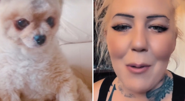 Uccide con 26 pugnalate il convivente e pubblica un video sui social: «Ha fatto scappare la mia cagnolina, io non ho fatto nulla di male»