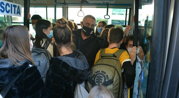 Tundo, mezzo forfait: 17 comuni marchigiani finiscono nel caos per i bus della scuola