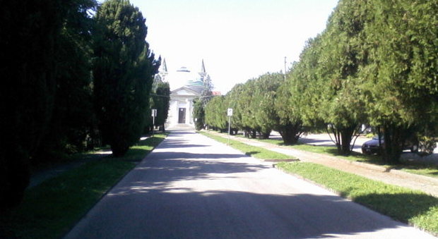 Cimitero maggiore di Vicenza viale di ingresso