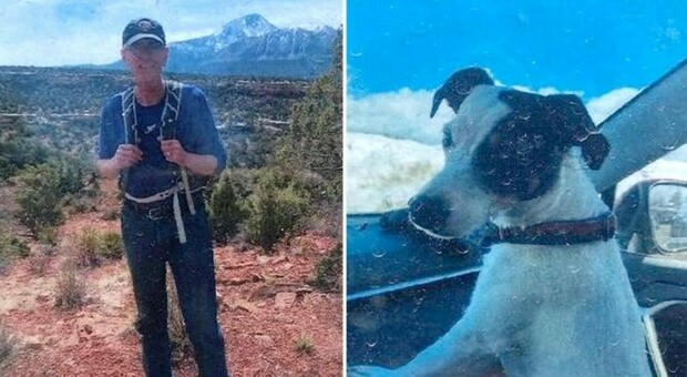 Escursionista muore sulle montagne, il cane lo veglia per due mesi (e sopravvive)