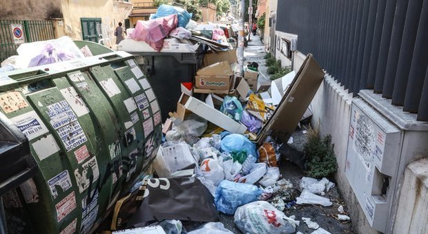 Effetto caos rifiuti a Roma, topi nei palazzi: boom disinfestazioni