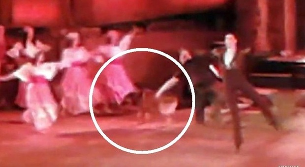 Pompei, cane randagio in palcoscenico durante la ​Carmen|Video
