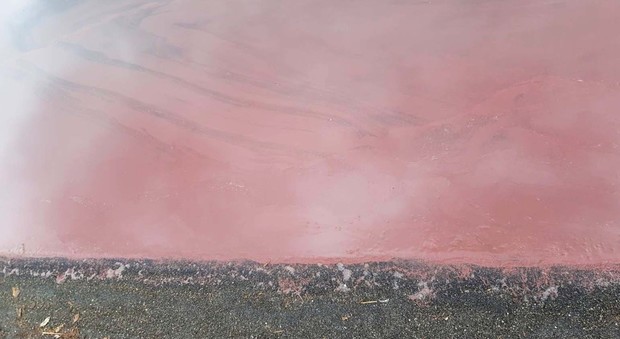 Castel Gandolfo, allarme alga e il lago diventa rosso