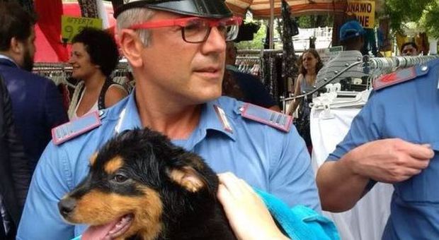 Roma, donna abbandona cane in auto sotto al sole: un carabiniere lo salva e lo adotta