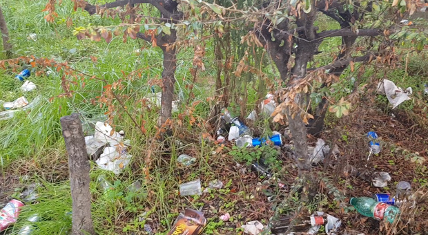 Napoli: il degrado dei giardini di piazza Mazzini, tra alberi pericolanti e cumuli di rifiuti abbandonati