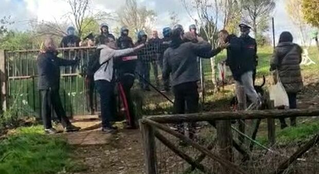 Roma, «Non uccidete i cinghiali»: scoppia la rissa tra residenti e animalisti al parco della Serpentara