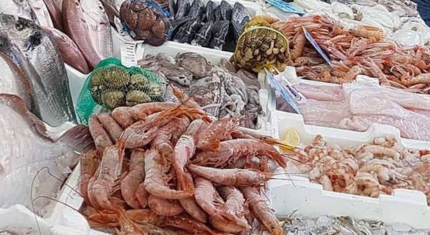 Ciampino, pesce dell'Atlantico spacciato per «locale»: sequestrato