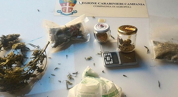 In casa una serra per coltivare droga: trentunenne arrestato ad Agropoli