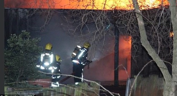 Londra, incendio allo zoo: 70 pompieri al lavoro