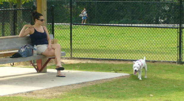 Una donna al parco con il suo cane