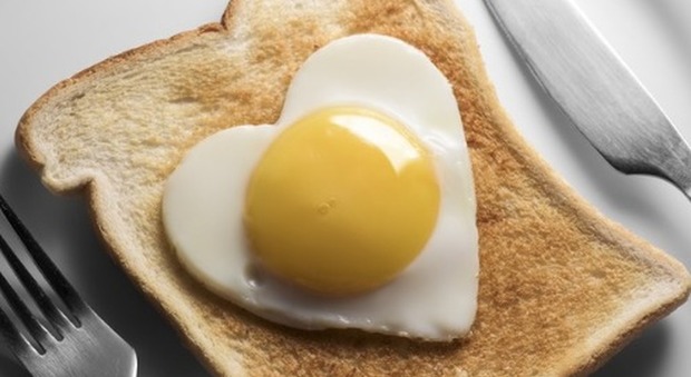 Le uova fanno male alla salute? Ecco l'ultimo studio cosa rivela