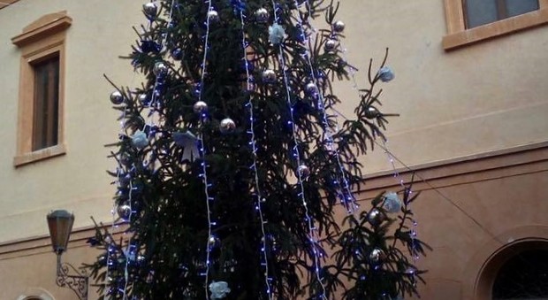 Rieti, albero di Natale al cimitero in ricordo dei cari scomparsi