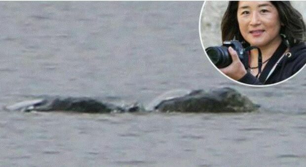 Mostro di Loch Ness, spuntano nuove foto inedite: «Fotografavo mia figlia, poi ho visto questa creatura gigante»
