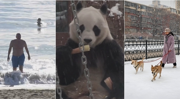 Clima, in Spagna 25 gradi a Malaga. A Pechino i panda giocano sotto la neve