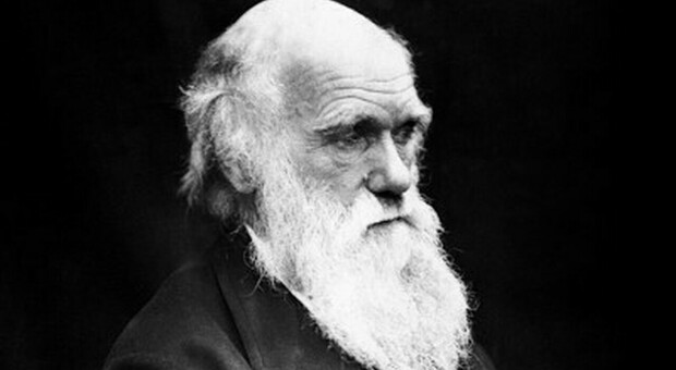 Charles Robert Darwin (1809-1882)