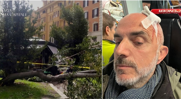Piazza Bologna, dramma sfiorato: albero crolla su un’area pedonale. Ferito un reporter colpito da un palo dell'Atac