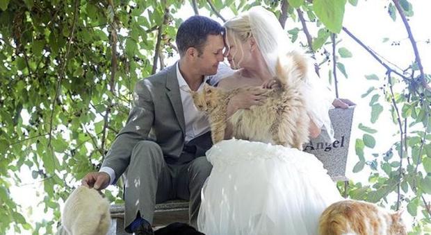 La follia d'amore di Dominic e Louise: nozze davanti a 1.100 gatti