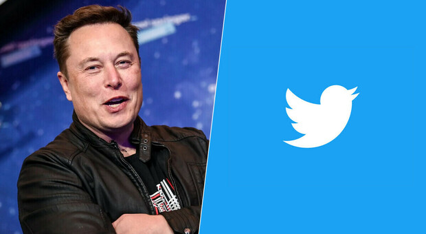 Le spunte blu di Twitter a pagamento, Elon Musk rivoluziona il social: «Costeranno 8 dollari al mese»
