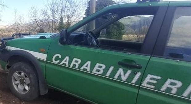 Rifuti edili scaricati nel Parco dei Sibillini a Valfornace: la ditta incastrata dal video, denuncia e maximulta.