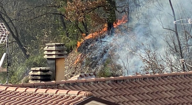 Ascoli, scoppia l'incendio sulla collina vicina alla zona residenziale: i vigili del fuoco riescono a salvare le case
