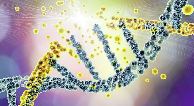 Tumori, ecco come le radiazioni danneggiano il DNA: processo spiegato come in un video game