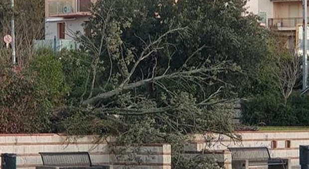 I danni provocati dal maltempo in piazza Salvo D'Acquisto ad Ancona