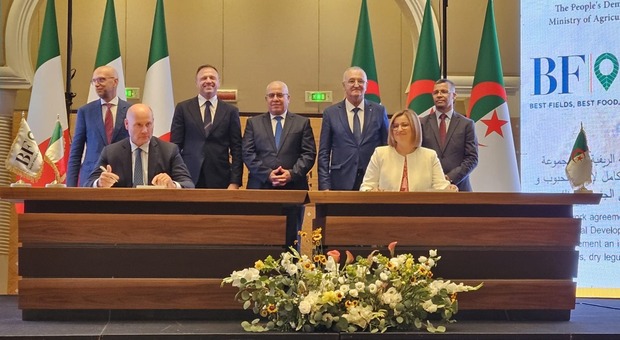 immagine Agroalimentare: intesa tra Italia e Algeria sul modello Eni