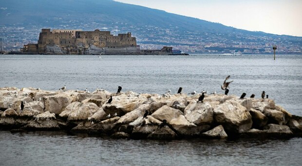 La cartolina del golfo di Napoli