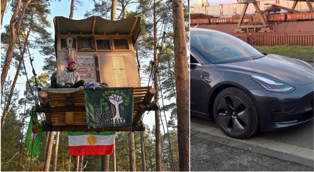 «Stop Tesla», attivisti di Berlino occupano un bosco nei pressi della fabbrica di auto: costruite case sugli alberi per proteggere l'area