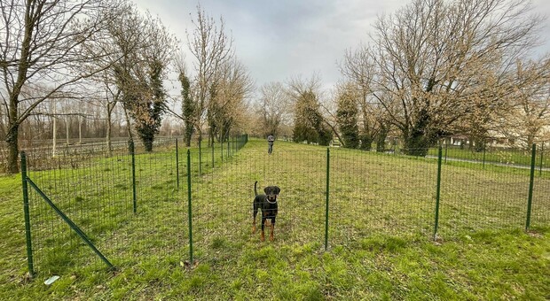 L'area di sgambamento cani creata a dicembre ai giardini dell'Adigetto