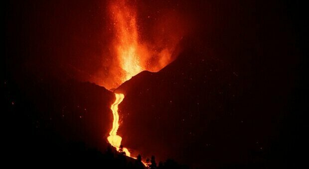 Vulcano Canarie, il mistero dei 4 cani intrappolati nella lava. Gruppo anonimo: «Stanno bene». Le Autorità: «Ignoriamo dove siano»