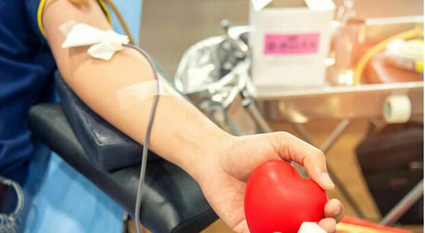 Donazioni di sangue, le Marche autosufficienti aiutano anche altre regioni