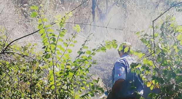 Domenica di fuoco in Irpinia, incendi nei boschi di quattro paesi
