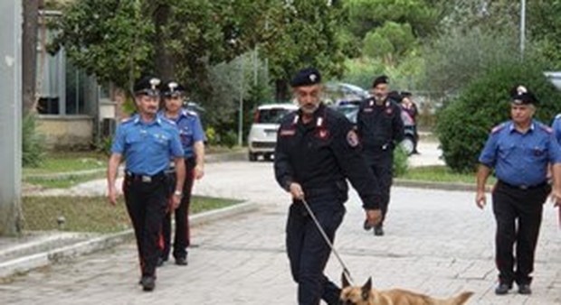Latina, blitz dei carabinieri a scuola: trovati hashish e marijuana
