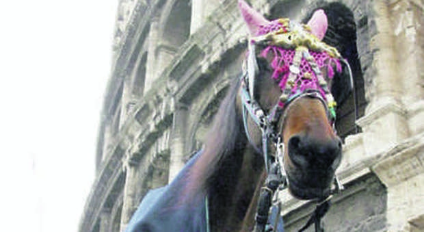 Roma, Botticelle, cavalli lasciati al buio per giorni: indagati 38 vetturini per maltrattamenti