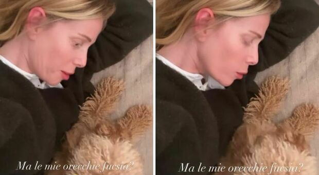 Alessia Marcuzzi al cagnolino Brownie: «La mamma non sta bene, ha le orecchie fucsia»